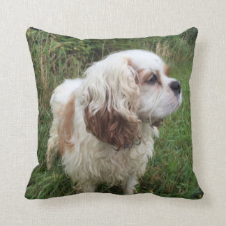 Branson-Kissen Kissen