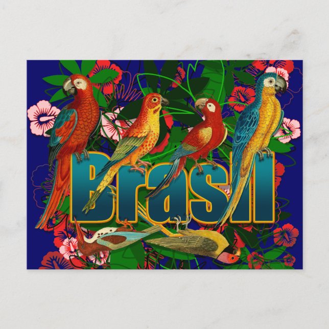 Brasil tropische Vögel Postkarte (Vorderseite)