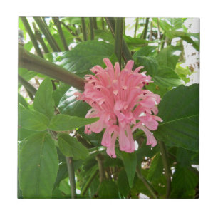 Brasilianische Plume-Blume Fliese