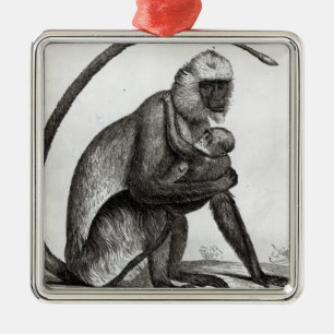 Brasilianischer Affe Silbernes Ornament
