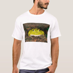 Brasilianischer Hornfrosch, Ceratophrys cornuta, 2 T-Shirt