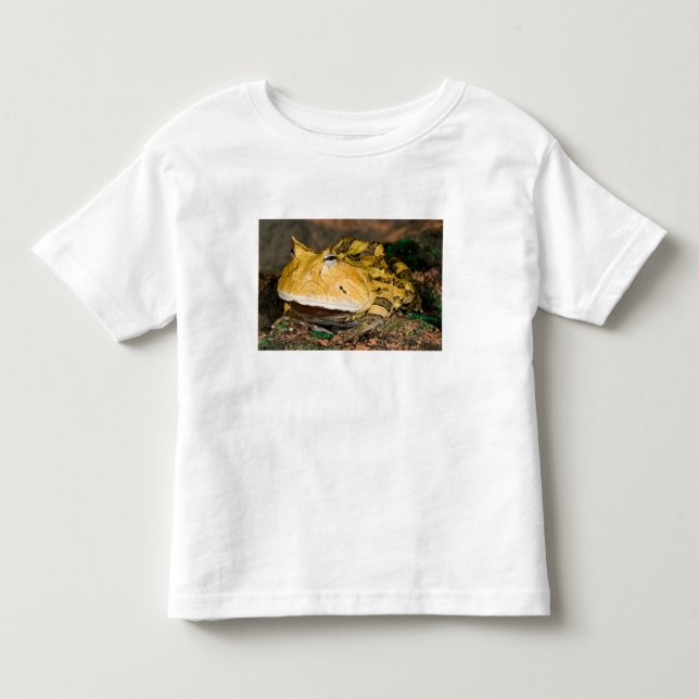 Brasilianischer Hornfrosch, Ceratophrys cornuta, 3 Kleinkind T-shirt (Vorderseite)