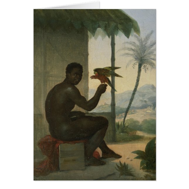 Brasilianischer Schwarze mit tropischem Vogel (Vorne)