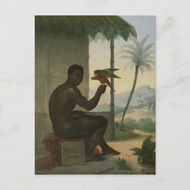 Brasilianischer Schwarzer mit tropischem Vogel Postkarte (Vorderseite)
