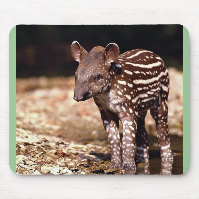 Brasilianischer Tapir, junges Kalb neben Fluss Mousepad (Vorne)