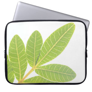 Brasilianisches Leaf-Muster für die holzige Pflanz Laptopschutzhülle