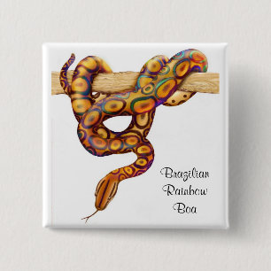 Brasilianisches Regenbogen-Boa-Button Button