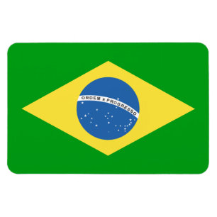 Brasilien-Flaggen-Entwurf Magnet