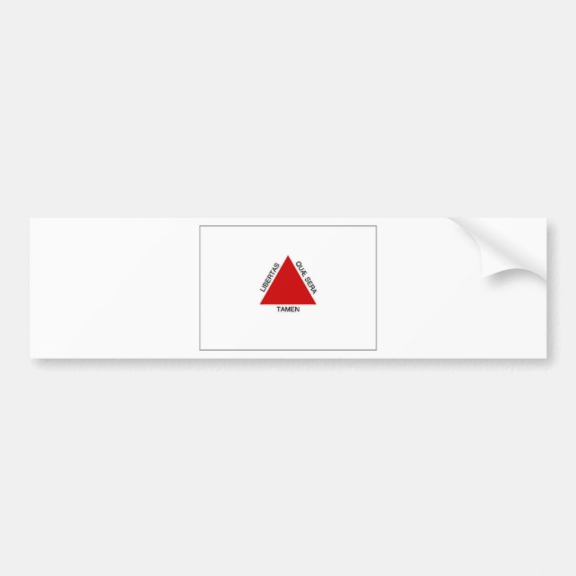 Brasilien-Minas Gerais-Flagge Autoaufkleber (Vorne)