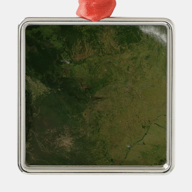 Brasilien Ornament Aus Metall (Vorne)