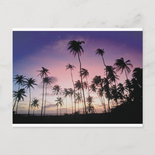 Brasilien Postkarte (Vorderseite)