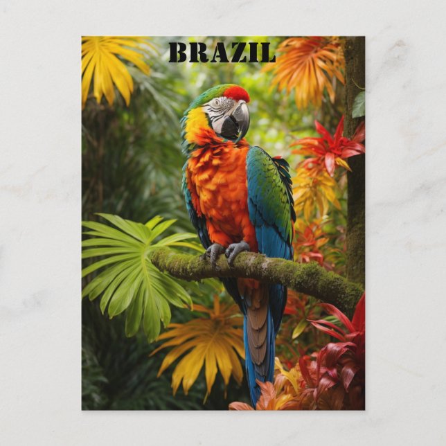 Brasilien Rainforest Colorful Macaw Bird Travel Postkarte (Vorderseite)