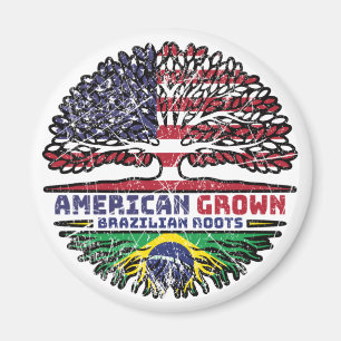 Brasilien USA USA USA Staaten Magnet