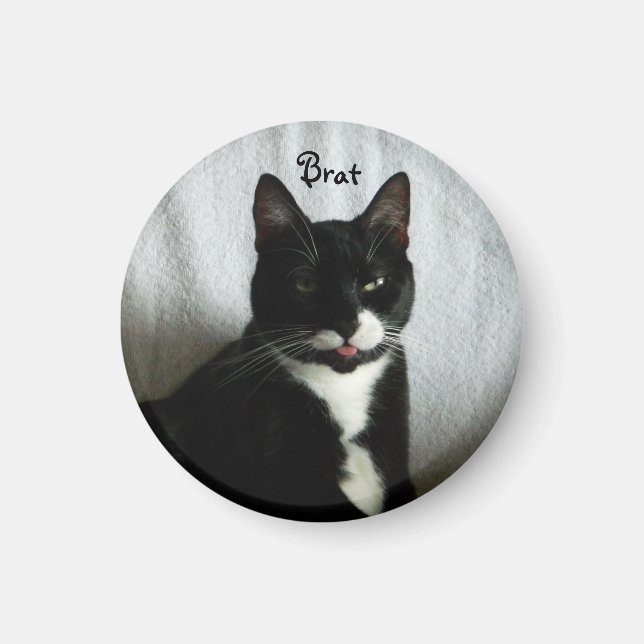 Brat Cat Magnet (Vorne)