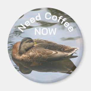 Brauche Kaffee Schlafente Lustig  Magnet