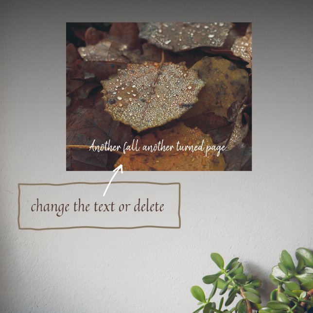 Braun fiel nach Regen Blätter Poster (Von Creator hochgeladen)