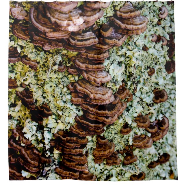 Braun-grüner Duschvorhang (Vorderseite)