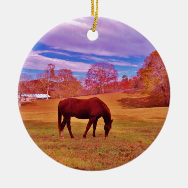 > Braun in einem träumfarbenen Feld Keramik Ornament (Vorne)