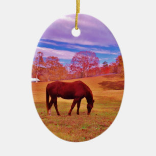 > Braun in einem träumfarbenen Feld Keramik Ornament