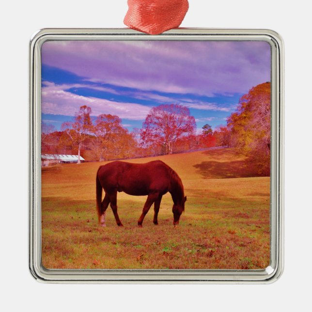 > Braun in einem träumfarbenen Feld Silbernes Ornament (Vorne)
