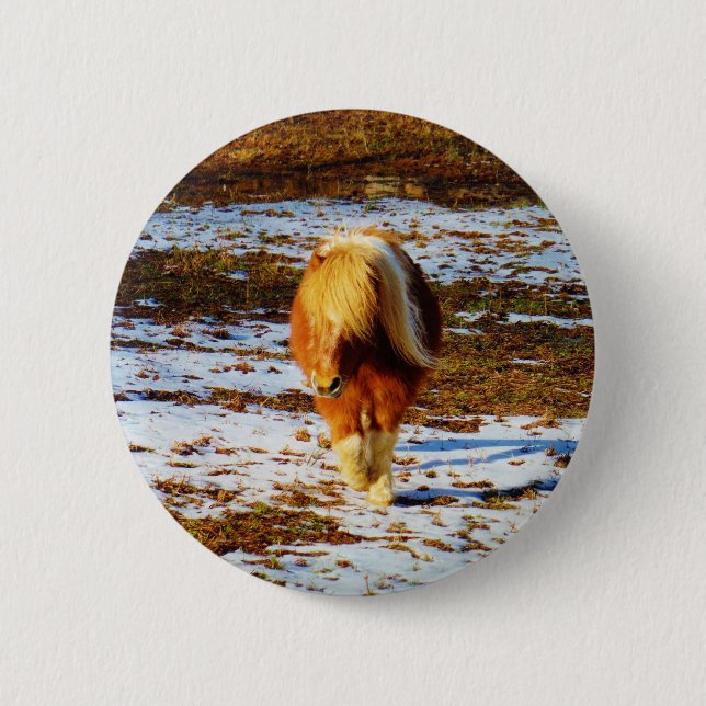 Braun und cremefarbenes Miniaturpferd im Schnee. Button (Vorderseite)