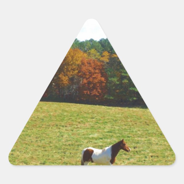 Braun- und Weißpferd, Herbstbäume, blauer Himmel Dreieckiger Aufkleber (Vorderseite)