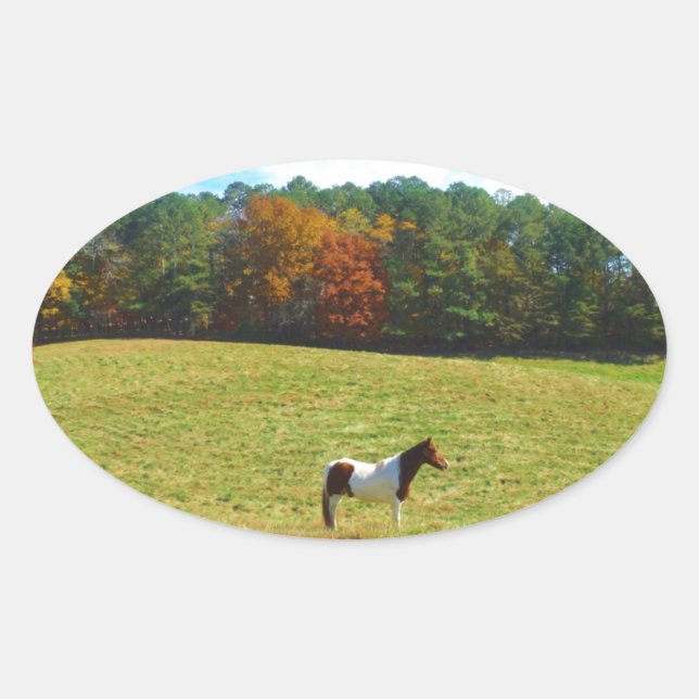 Braun- und Weißpferd, Herbstbäume, blauer Himmel Ovaler Aufkleber (Vorderseite)