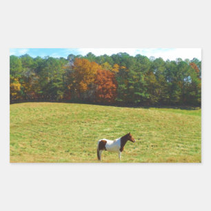Braun- und Weißpferd, Herbstbäume, blauer Himmel Rechteckiger Aufkleber