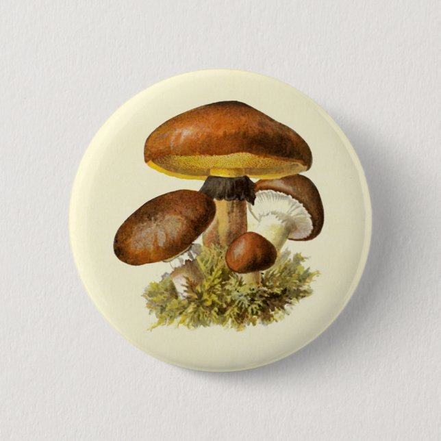 Braun Vintages Pilz Button (Vorderseite)