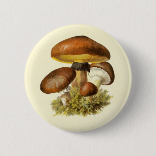 Braun Vintages Pilz Button