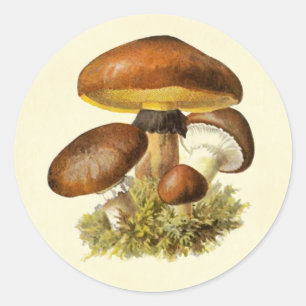 Braun Vintages Pilz Runder Aufkleber