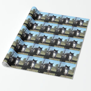 Braun & Weiß, gestrichenes Pferd, hellblauer Himme Geschenkpapier