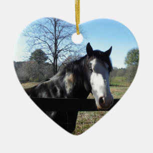 Braun & Weiß, gestrichenes Pferd, hellblauer Himme Keramik Ornament