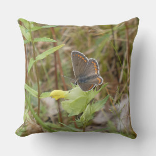 Braunargus-Schmetterling-Wurfkissen Kissen