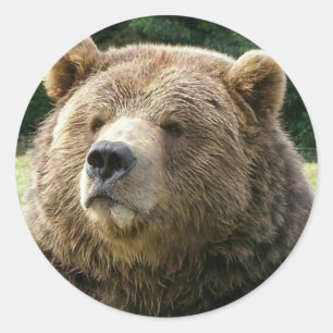 Braunbär-Aufkleber Runder Aufkleber