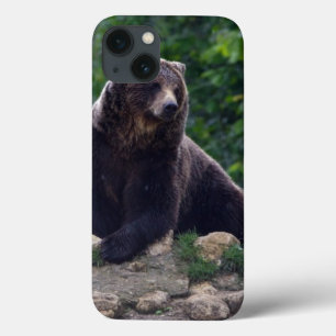 Braunbär Case-Mate iPhone Hülle