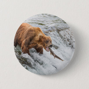 Braunbär fängt roten Lachs Button