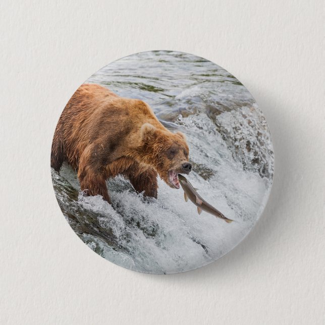 Braunbär fängt roten Lachs Button (Vorderseite)