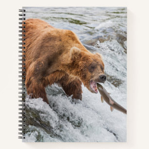 Braunbär fängt roten Lachs Notizbuch