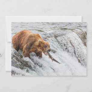 Braunbär fängt Rotlachs Dankeskarte