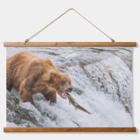 Braunbär fängt Rotlachs