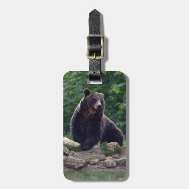 Braunbär Gepäckanhänger (Vorderseite vertikal)