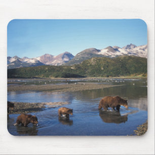 Braunbär, Grizzlybär, Bache und Junge in Mousepad