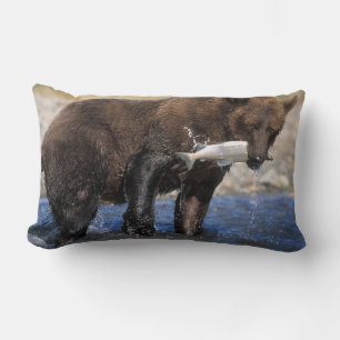 Braunbär, Grizzlybär, Lachsfang, Lendenkissen