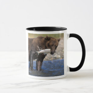 Braunbär, Grizzlybär, mit Lachsfang, Tasse