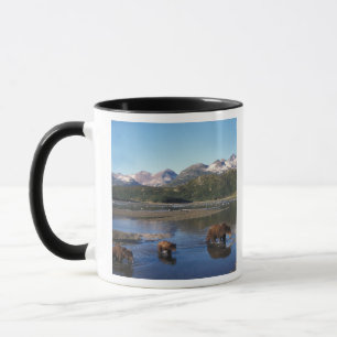 Braunbär, Grizzlybär, Sauen und Naben in Tasse