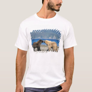 Braunbär, Grizzlybär, spielen am Strand, T-Shirt
