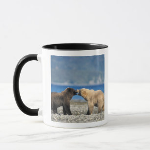 Braunbär, Grizzlybär, spielen am Strand, Tasse