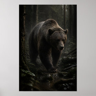 Braunbär im schattigen immergrünen Wald-Wildleben Poster