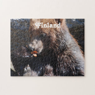 Braunbär in Finnland